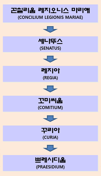 레지오 마리애의 조직체계